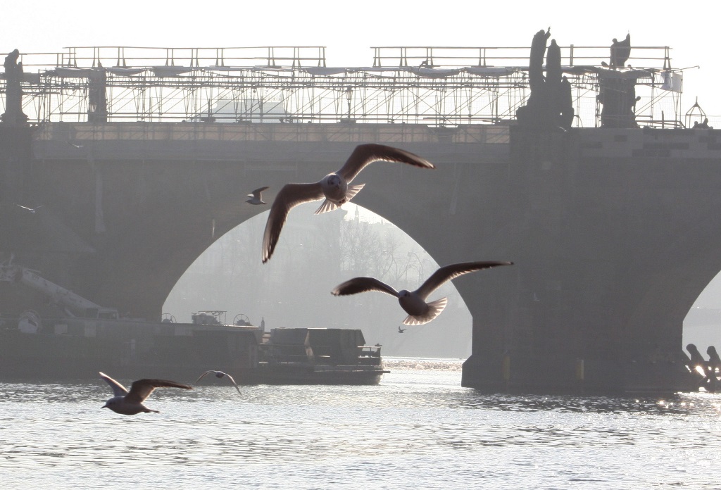 Fotoateliér Praha - ostatní